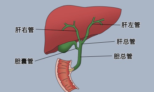 人参和枸杞吃什么效果网—知名的人参和枸杞能在一起吃吗网站,分享人参和枸杞一起泡酒的功效知识